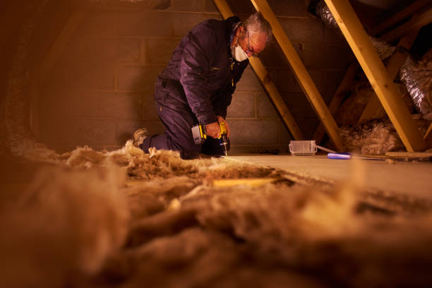Best Insulation Installation Services in Falconer, NY